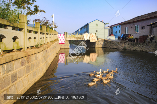 寧波鄞州五鄉(xiāng)鎮(zhèn)聯(lián)合村鄉(xiāng)村風(fēng)光