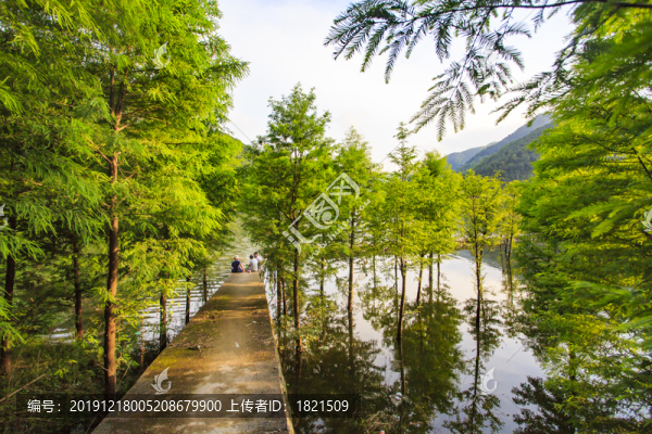 堇山湖美景