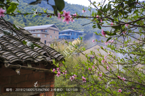 沙村老房子