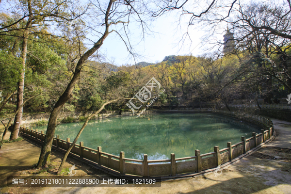天童寺放生池