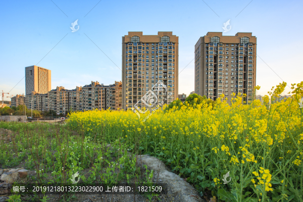 寧波鄞州小區(qū)風(fēng)光