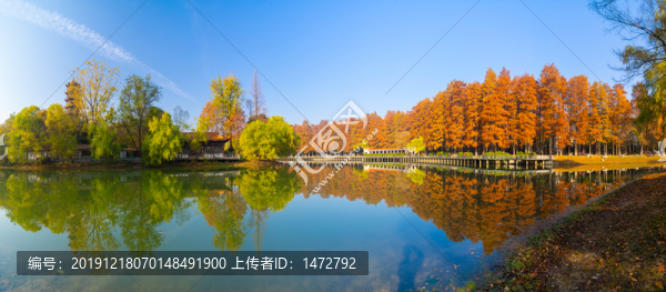 武漢解放公園深秋風(fēng)光