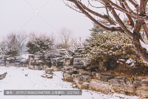 公園園林景觀雪景