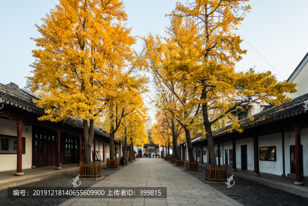 虎丘秋色