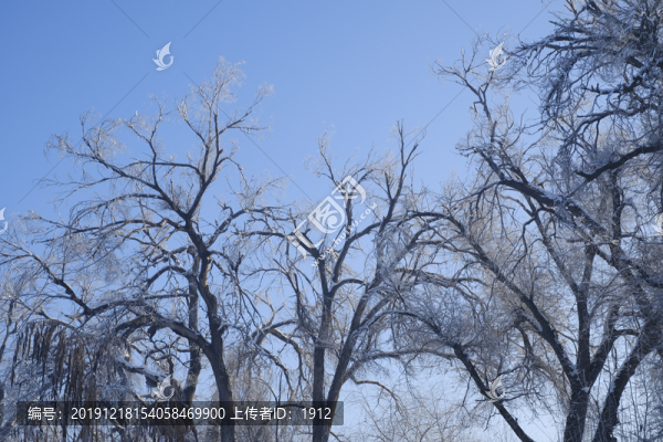 雪淞
