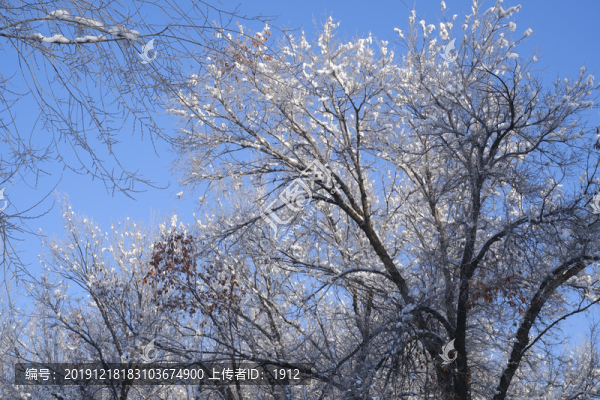 霧淞