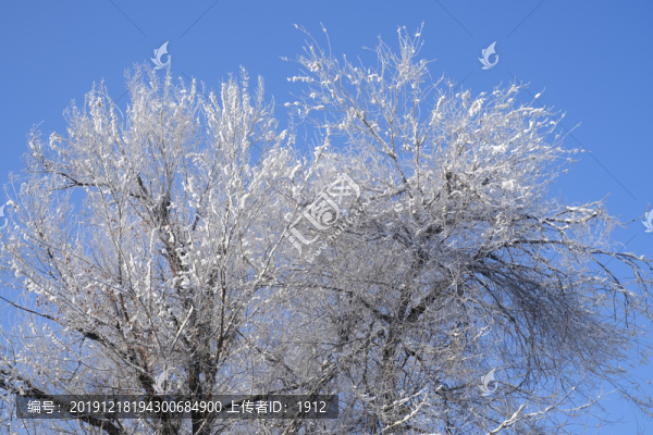 雪景