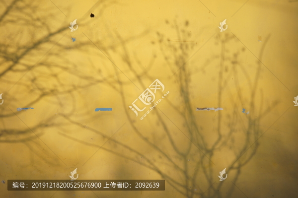 六星街
