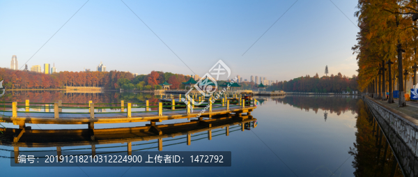 武漢東湖風(fēng)景區(qū)深秋風(fēng)光