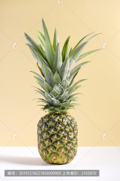 菠蘿