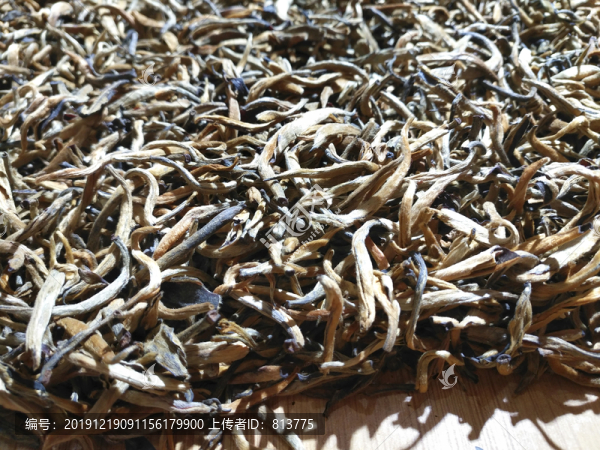干茶名茶