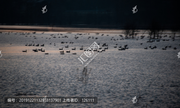 念湖的早晨