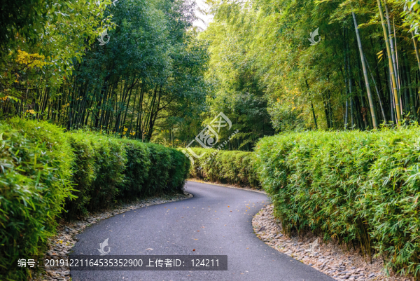 竹林小道