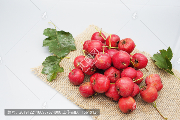 山楂