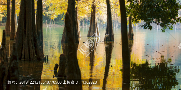 黃婆洞風(fēng)光