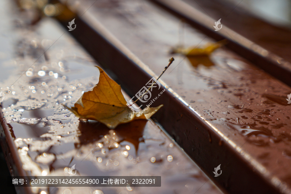 雨天地面椅子上的落葉