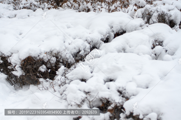 大雪
