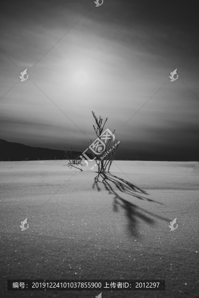 雪鄉(xiāng)