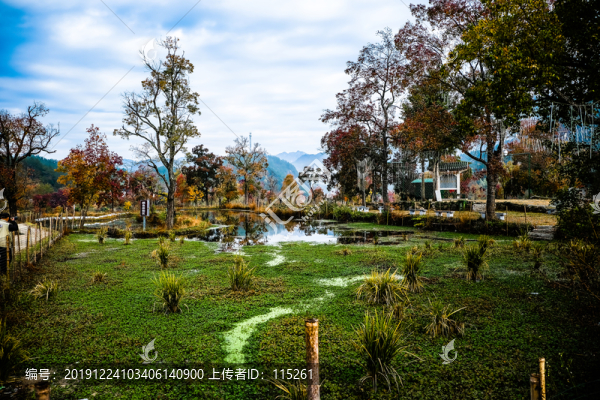 羅田紅葉藍(lán)天