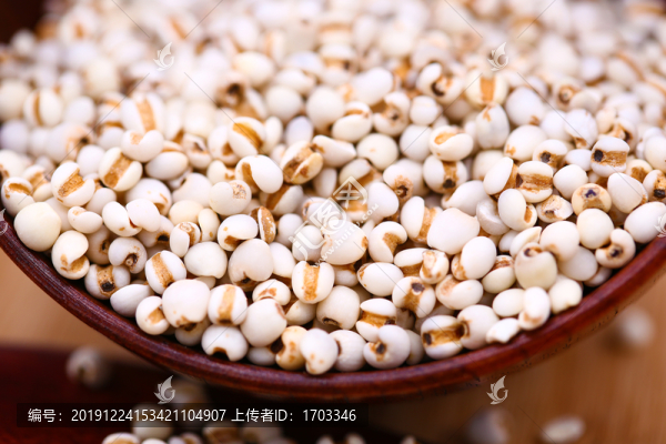 薏米