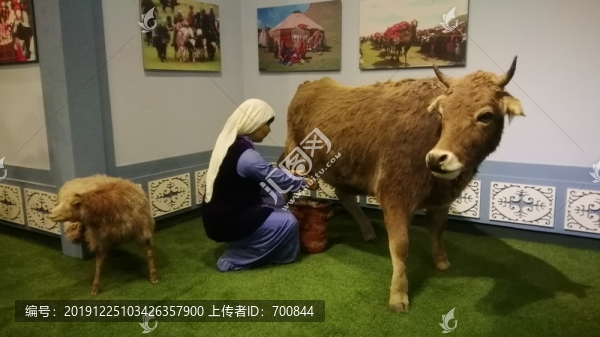 新疆博物院少數(shù)民族塑像攝影照片
