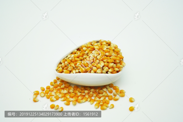玉米粒