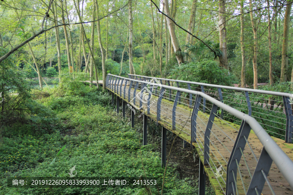 綠道