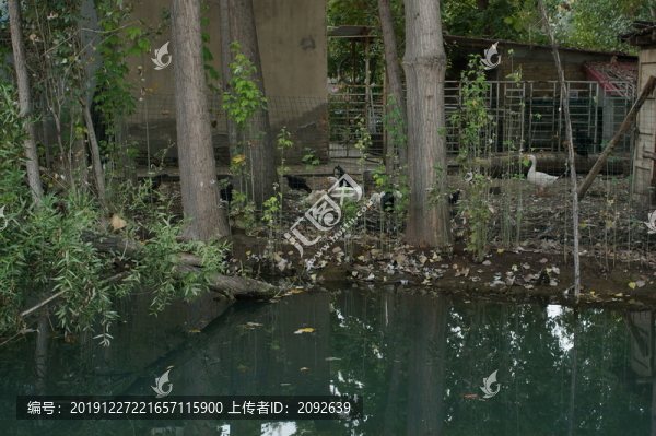 農(nóng)家院落