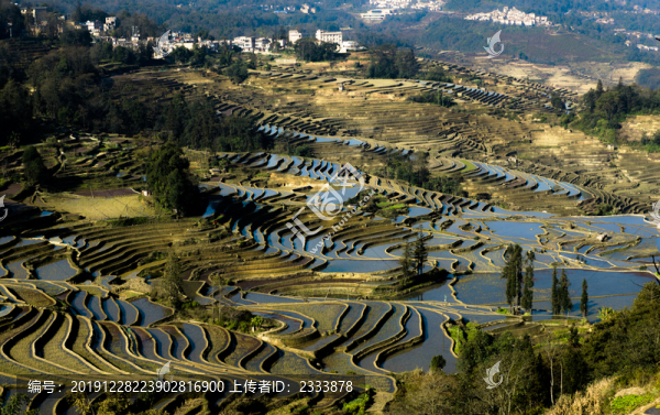 元陽梯田