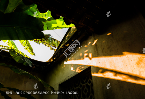 斜陽(yáng)照藝圃