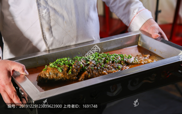 黃河大鯉魚