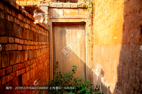 午后陽光