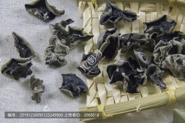 黑木耳