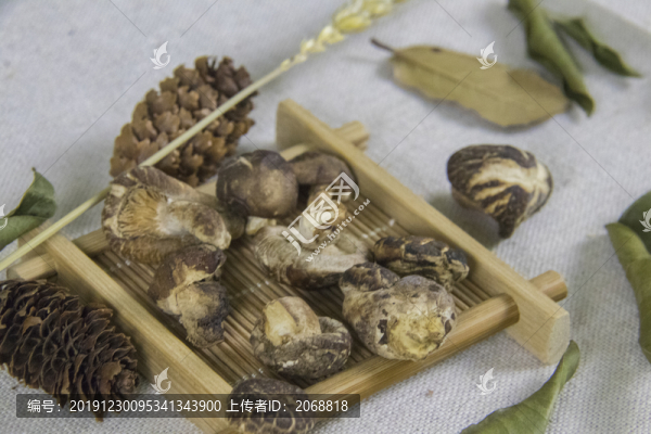 香菇
