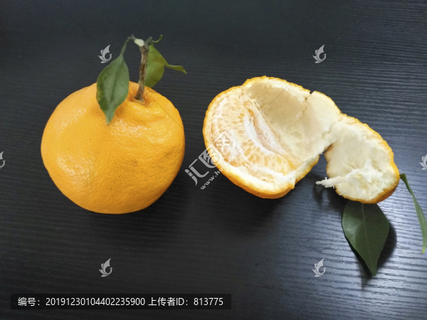 柑橘丑八怪
