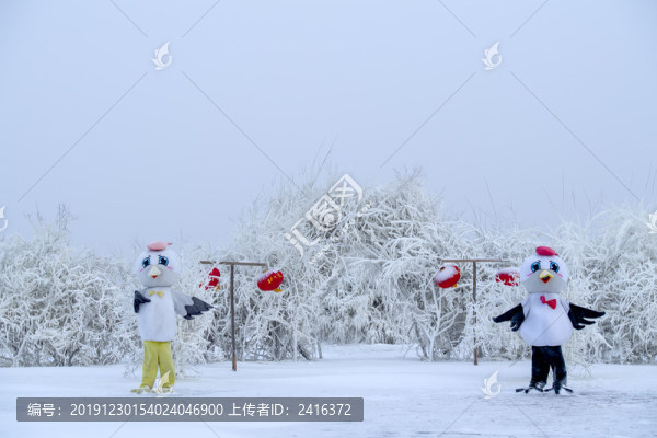 冰天雪地丹頂鶴