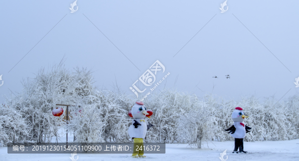 冰天雪地丹頂鶴