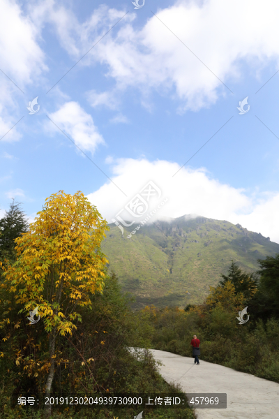 高原風(fēng)光