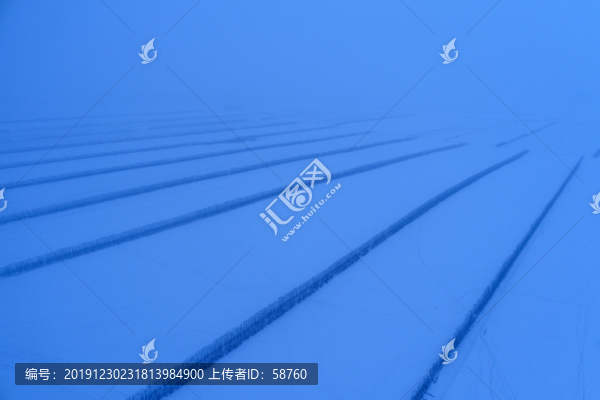 田野農(nóng)田防護(hù)林雪夜