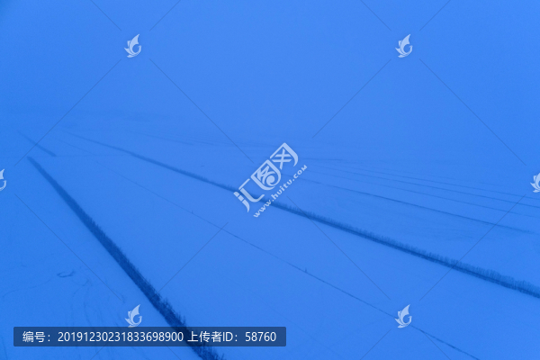 田野農(nóng)田防護(hù)林雪