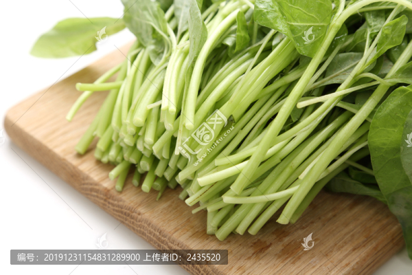 白色背景的白莧菜