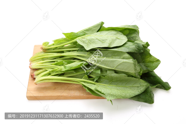 白色背景的菠菜