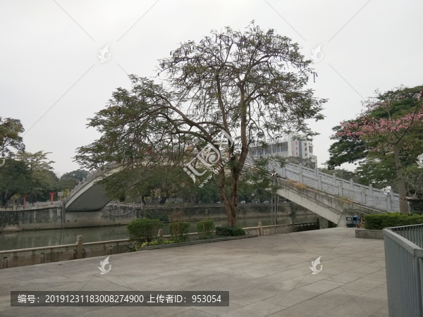 景觀園林