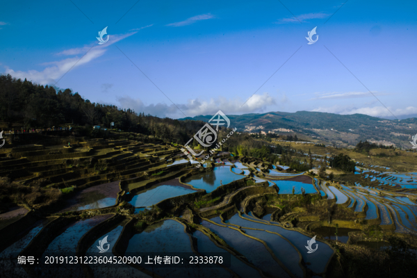 元陽梯田