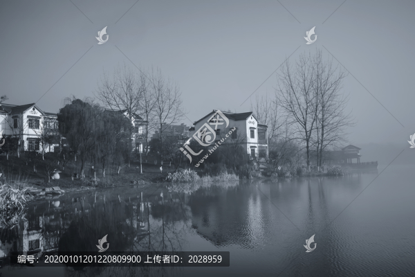 南京江寧大塘金