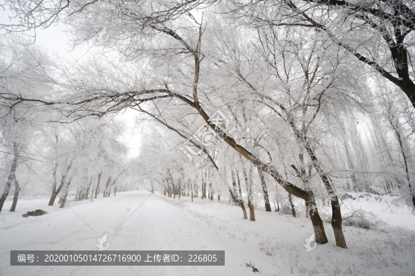 雪景