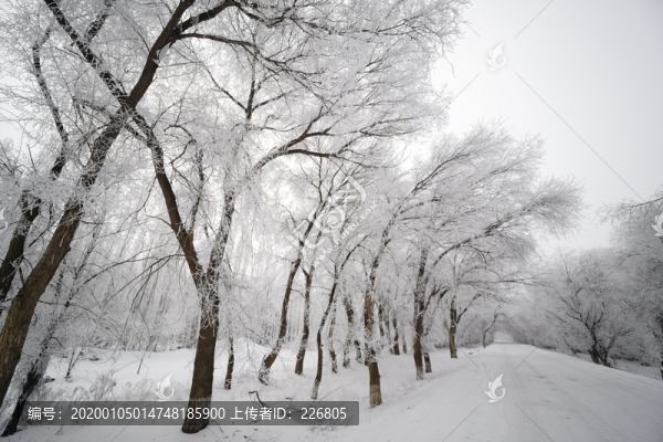 雪景