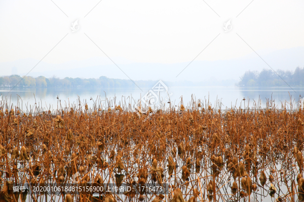 杭州西湖秋景