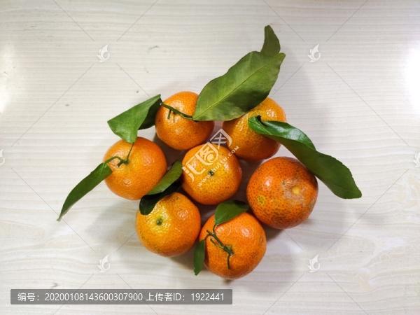 新鮮砂糖桔