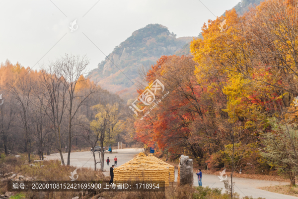 遼寧撫順猴石公園秋季風(fēng)光71